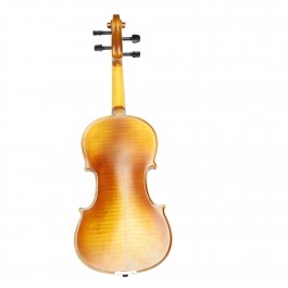 Violin Vân Vẽ